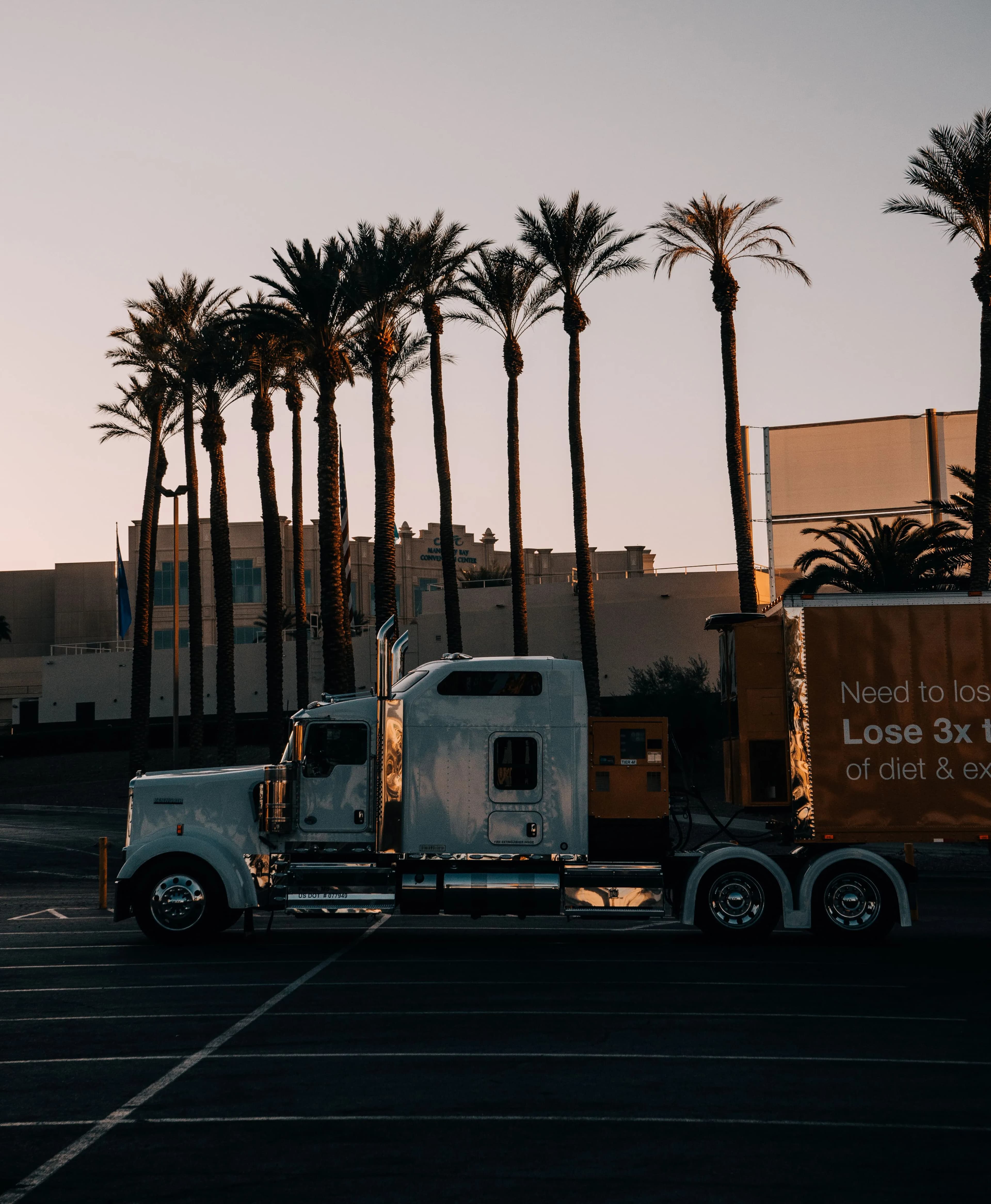 Freight truck parked at dusk beneath palm trees